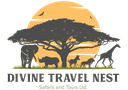 Divine Travel Nest Safaris