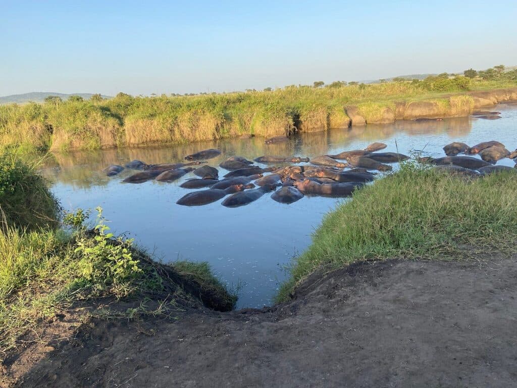 Ultimate Tanzania Safari