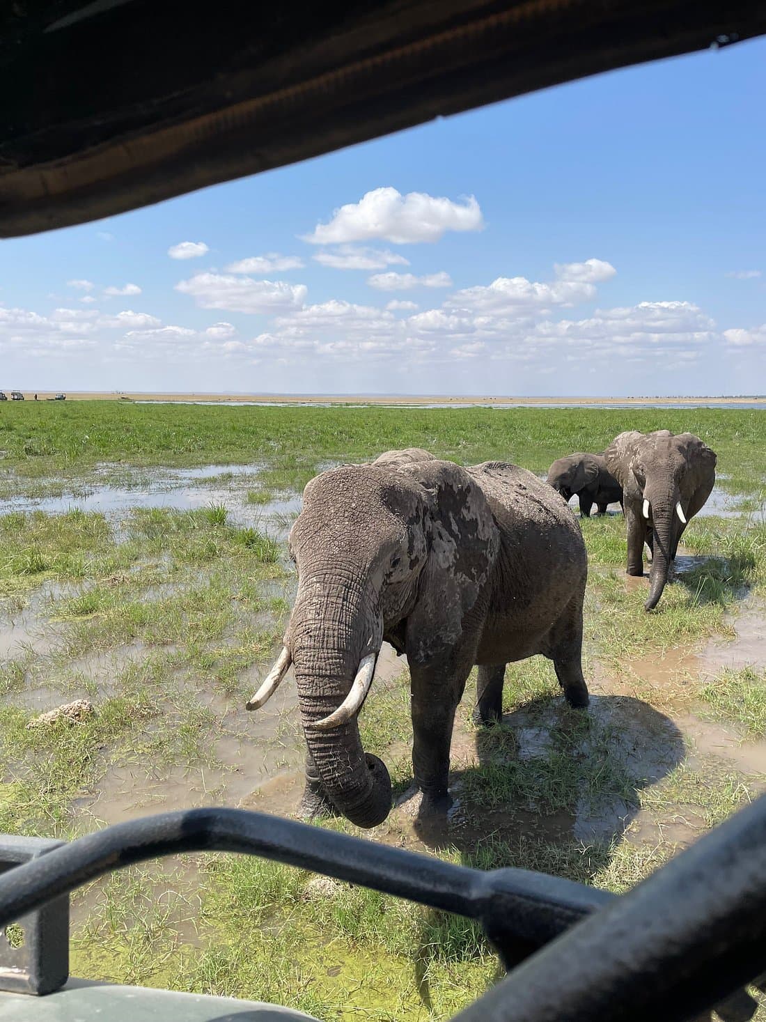 Amboseli Adventure