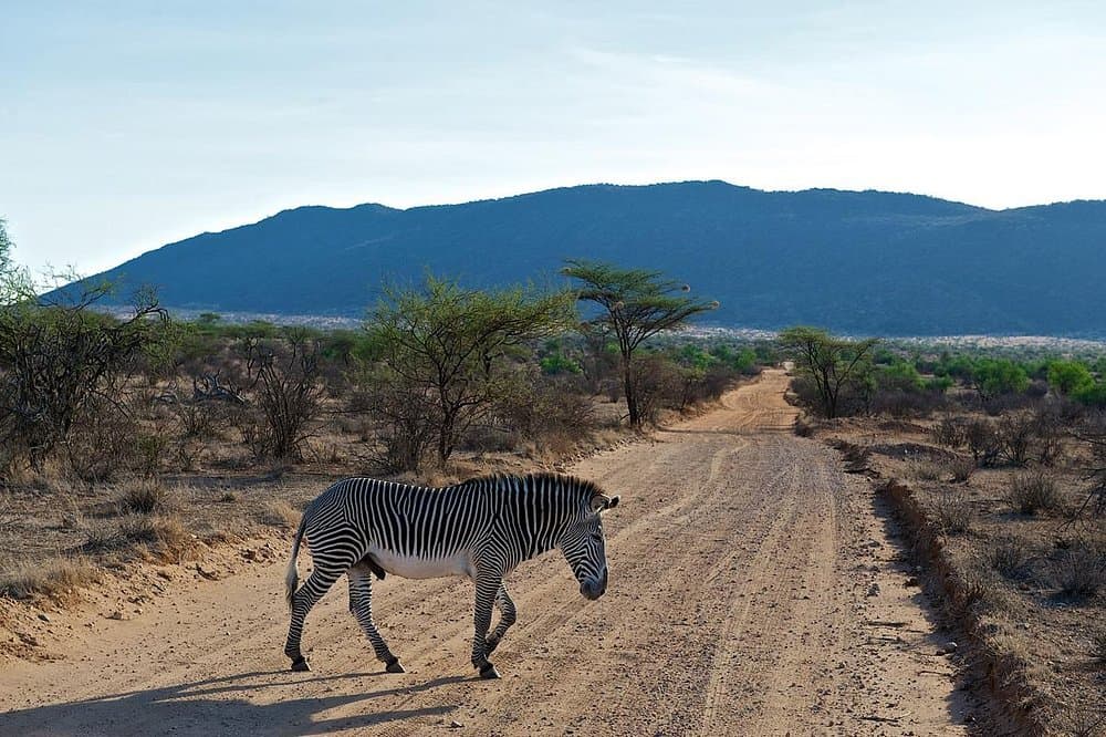 Tented camp vs lodge on safari — which should you choose?