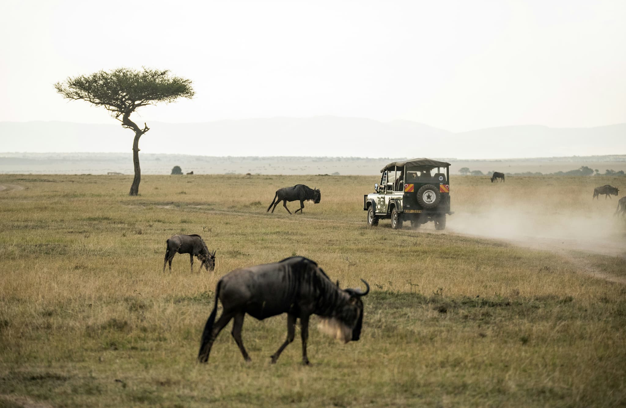 Tsavo East & West
